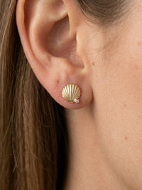 Aretes de oro 14K diseño de concha marina con circonias  Mod LM5425