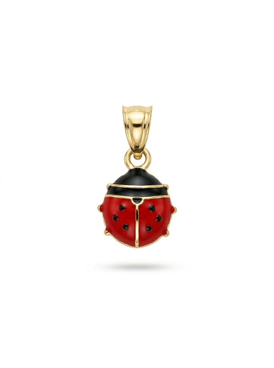 Dije de oro 10k silueta de catarina hueca Mod LM5215