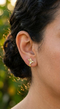 Aretes de colibríes de oro 14k Mod.613